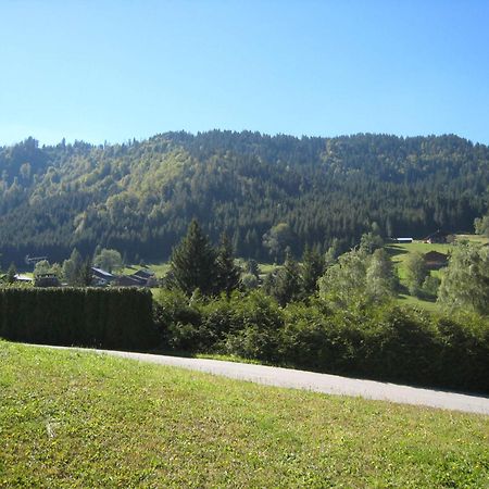 Studio La Clusaz, 1 pièce, 4 personnes - FR-1-459-64 Extérieur photo